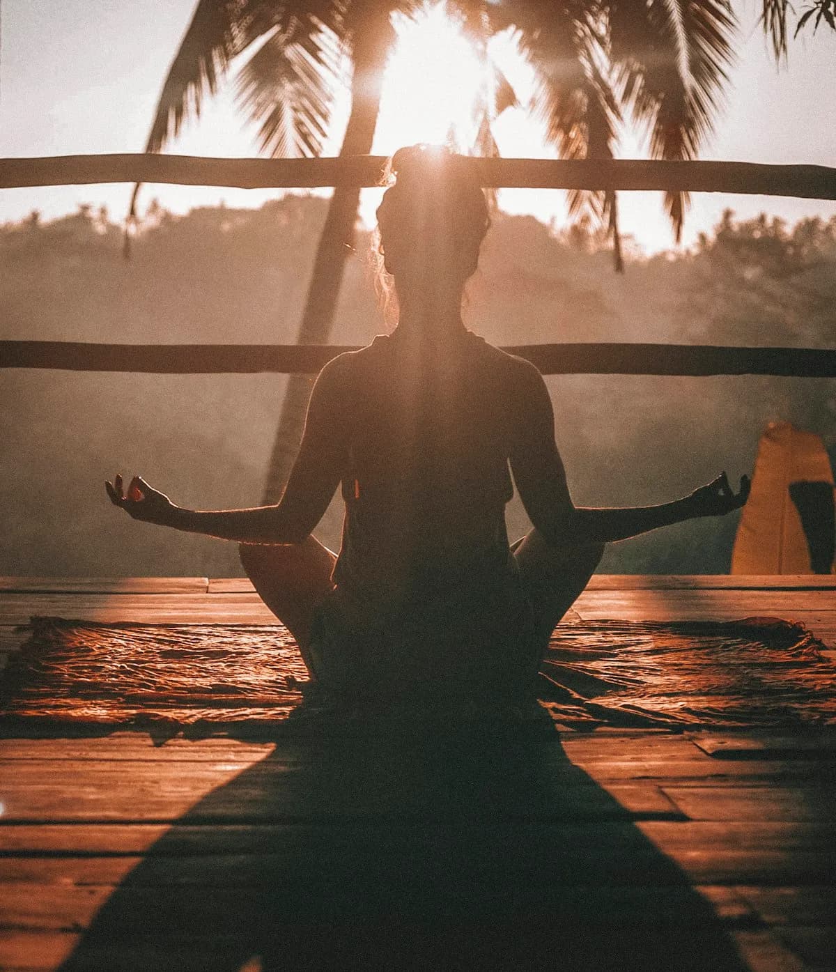 Dharma Mentoring